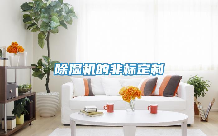除濕機的非標(biāo)定制