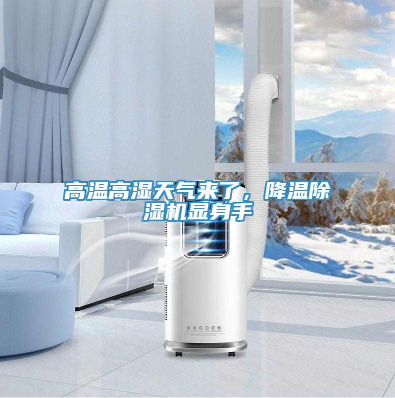 高溫高濕天氣來了，降溫除濕機顯身手