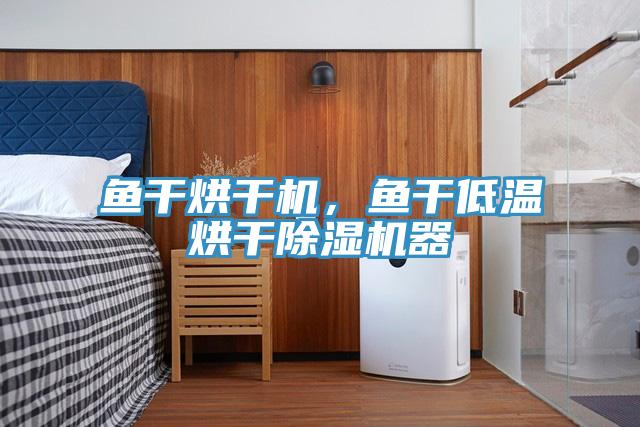 魚(yú)干烘干機(jī)，魚(yú)干低溫烘干除濕機(jī)器