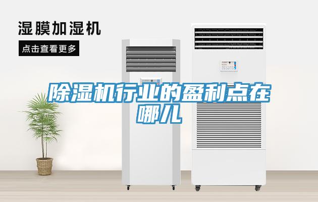 除濕機(jī)行業(yè)的盈利點在哪兒