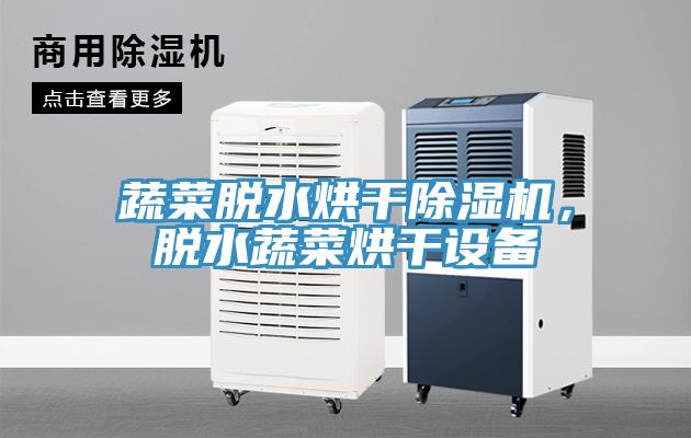 蔬菜脫水烘干除濕機(jī)，脫水蔬菜烘干設(shè)備