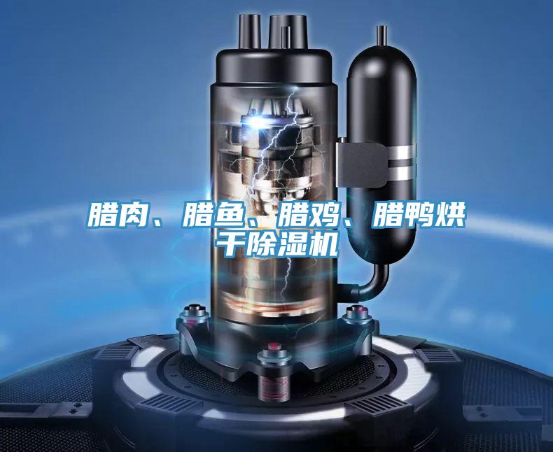 臘肉、臘魚、臘雞、臘鴨烘干除濕機(jī)