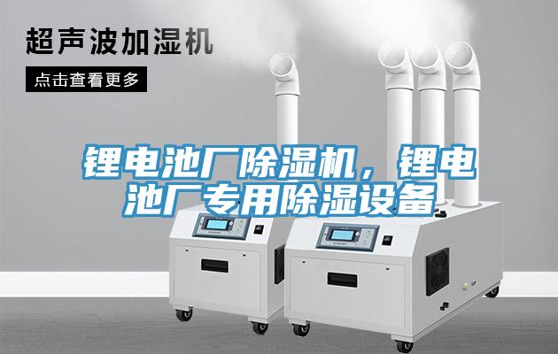 鋰電池廠除濕機(jī)，鋰電池廠專用除濕設(shè)備