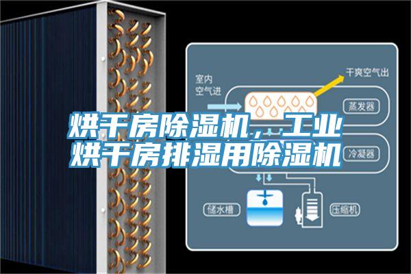 烘干房除濕機(jī)，工業(yè)烘干房排濕用除濕機(jī)