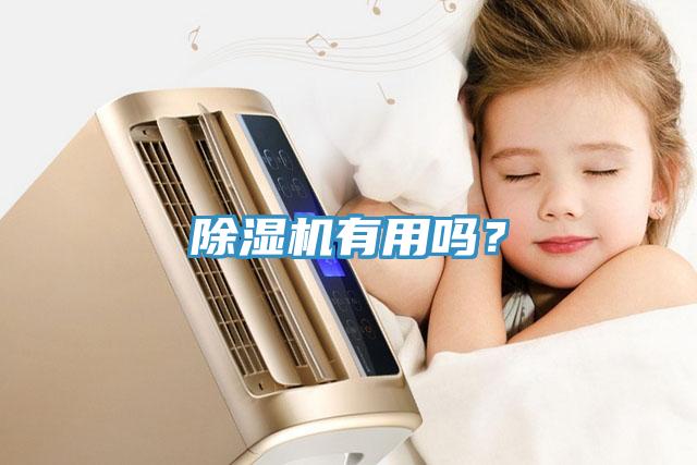 除濕機(jī)有用嗎？