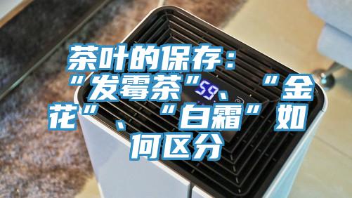 茶葉的保存：“發(fā)霉茶”、“金花”、“白霜”如何區(qū)分