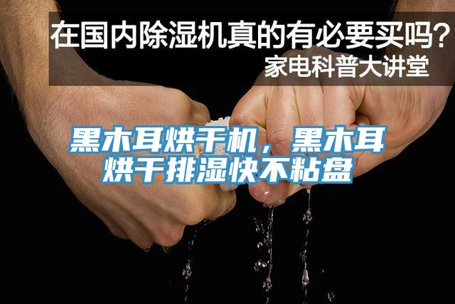 黑木耳烘干機，黑木耳烘干排濕快不粘盤