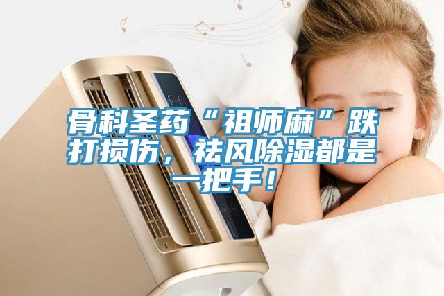 骨科圣藥“祖師麻”跌打損傷，祛風(fēng)除濕都是一把手！
