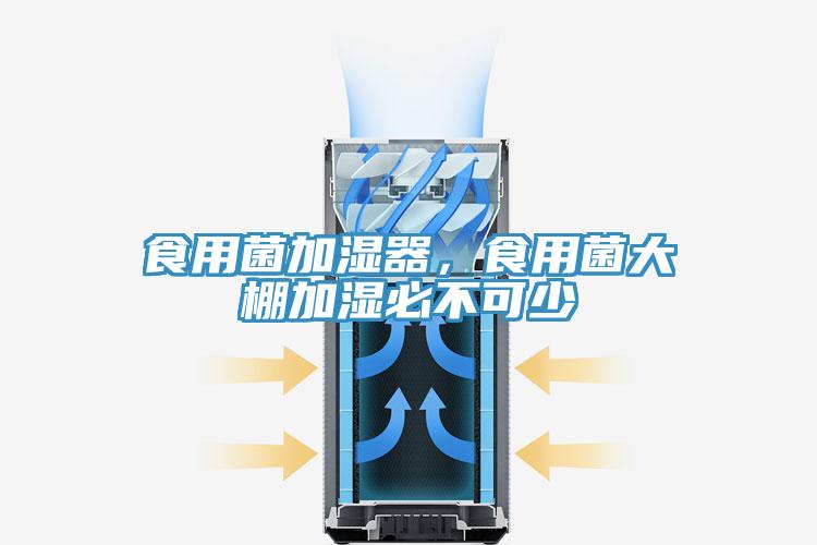 食用菌加濕器，食用菌大棚加濕必不可少