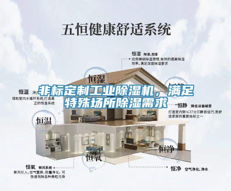非標(biāo)定制工業(yè)除濕機(jī)，滿足特殊場所除濕需求