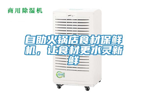 自助火鍋店食材保鮮機，讓食材更水靈新鮮