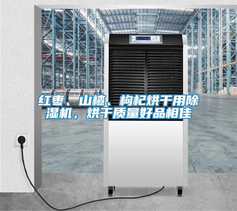 紅棗、山楂、枸杞烘干用除濕機(jī)，烘干質(zhì)量好品相佳