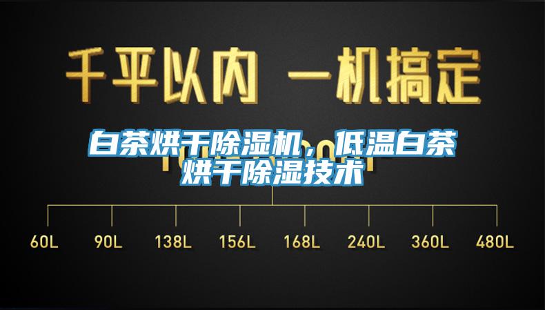白茶烘干除濕機(jī)，低溫白茶烘干除濕技術(shù)