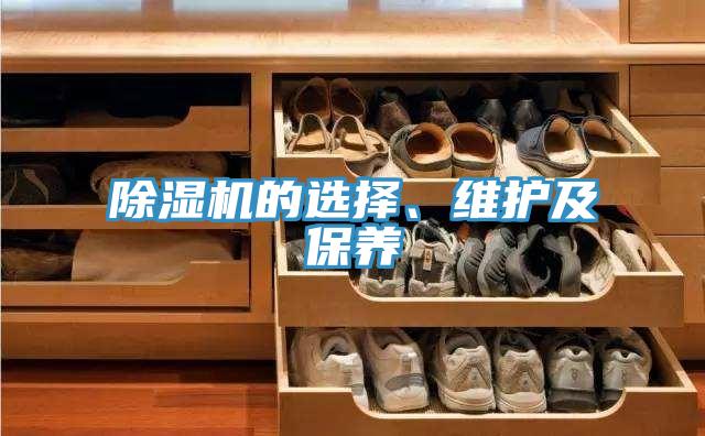 除濕機(jī)的選擇、維護(hù)及保養(yǎng)