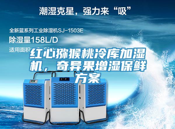 紅心獼猴桃冷庫加濕機(jī)，奇異果增濕保鮮方案