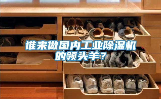 誰來做國(guó)內(nèi)工業(yè)除濕機(jī)的領(lǐng)頭羊？