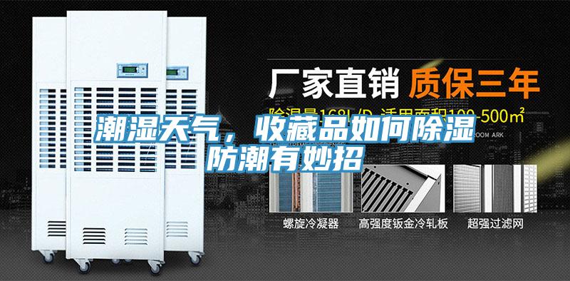 潮濕天氣，收藏品如何除濕防潮有妙招