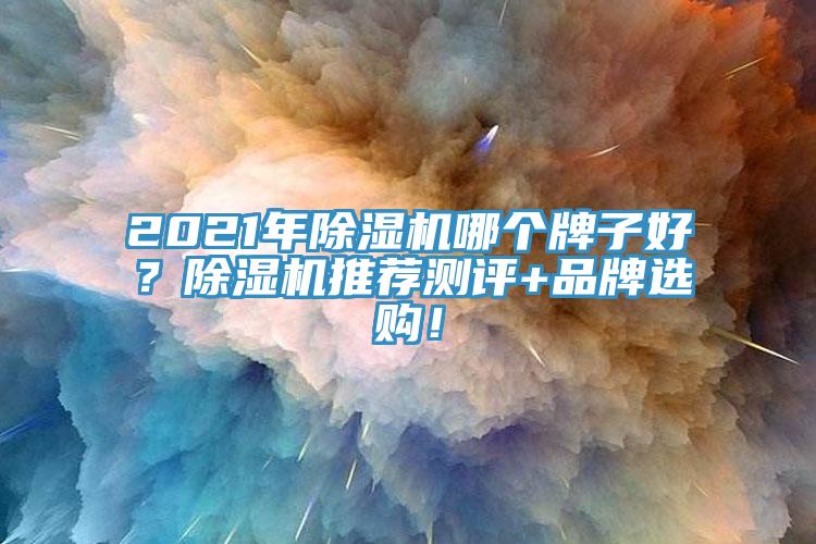 2021年除濕機(jī)哪個(gè)牌子好？除濕機(jī)推薦測(cè)評(píng)+品牌選購(gòu)！