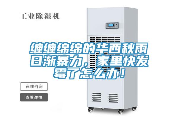 纏纏綿綿的華西秋雨日漸暴力，家里快發(fā)霉了怎么辦！