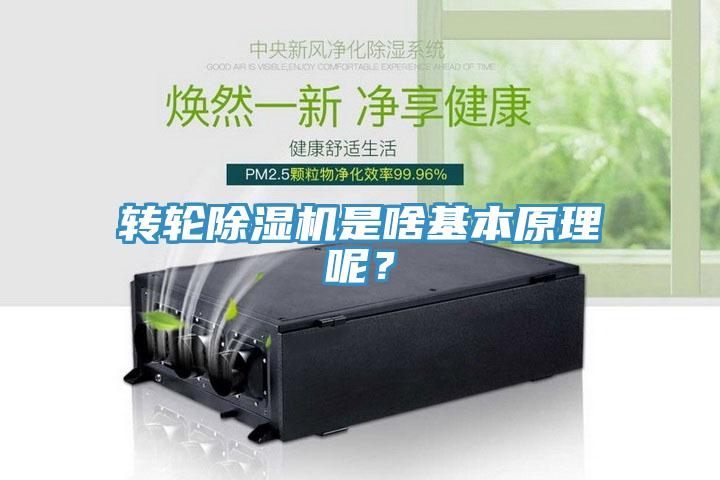 轉(zhuǎn)輪除濕機是啥基本原理呢？