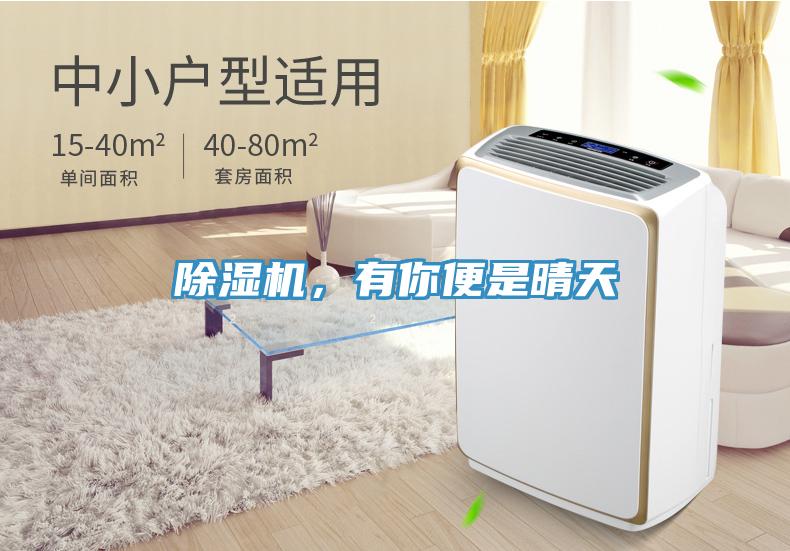 除濕機，有你便是晴天
