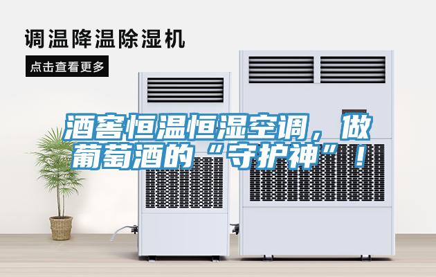 酒窖恒溫恒濕空調(diào)，做葡萄酒的“守護(hù)神”！