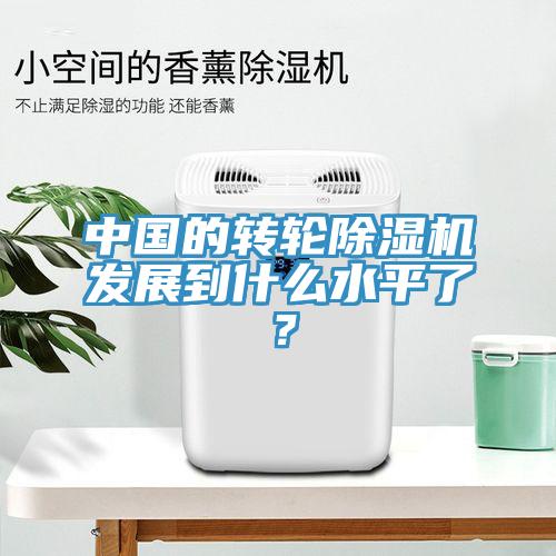 中國的轉(zhuǎn)輪除濕機發(fā)展到什么水平了？