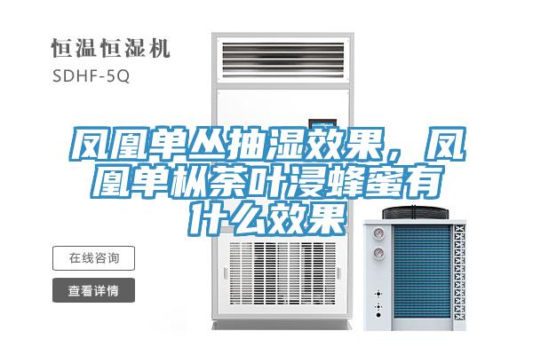 鳳凰單叢抽濕效果，鳳凰單樅荼葉浸蜂蜜有什么效果
