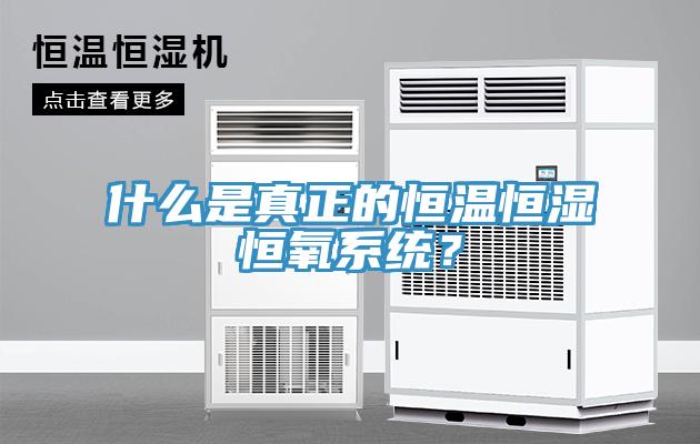 什么是真正的恒溫恒濕恒氧系統(tǒng)？