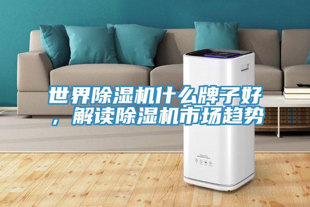世界除濕機什么牌子好，解讀除濕機市場趨勢
