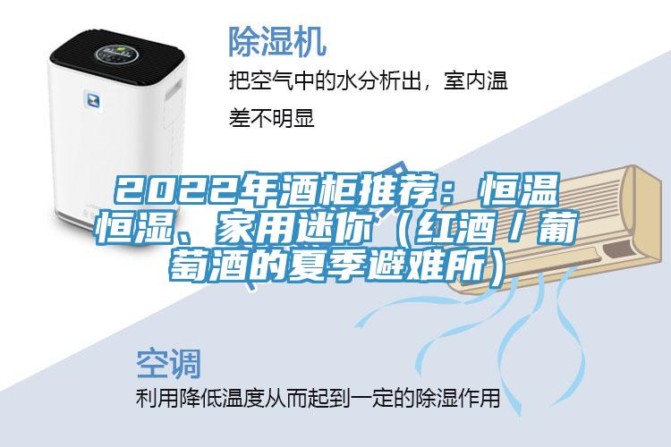 2022年酒柜推薦：恒溫恒濕、家用迷你（紅酒／葡萄酒的夏季避難所）