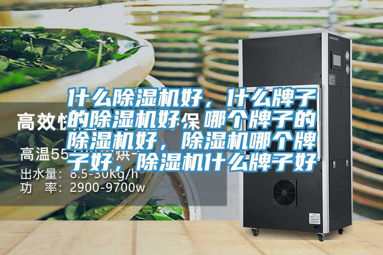 什么除濕機(jī)好，什么牌子的除濕機(jī)好，哪個(gè)牌子的除濕機(jī)好，除濕機(jī)哪個(gè)牌子好，除濕機(jī)什么牌子好