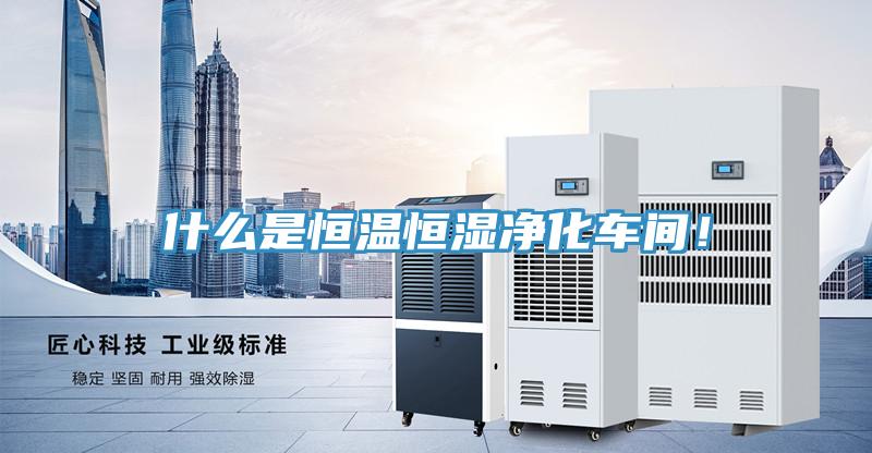 什么是恒溫恒濕凈化車間！