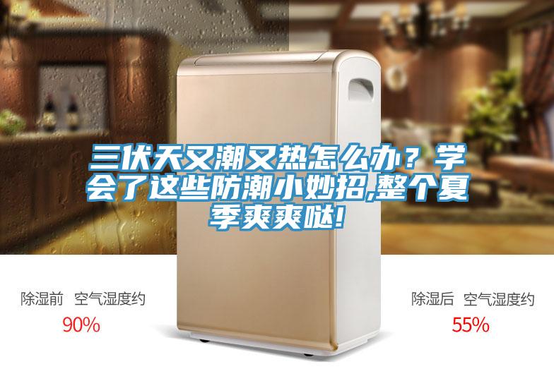 三伏天又潮又熱怎么辦？學(xué)會(huì)了這些防潮小妙招,整個(gè)夏季爽爽噠!