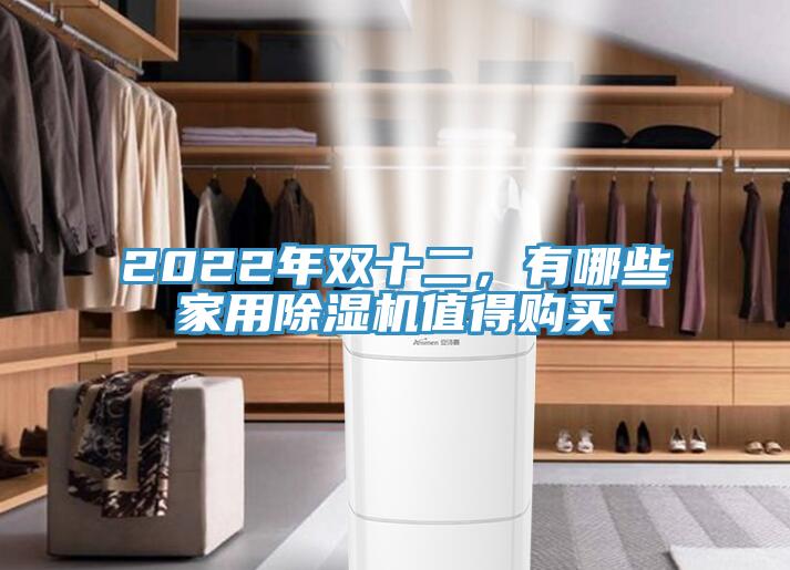 2022年雙十二，有哪些家用除濕機(jī)值得購(gòu)買