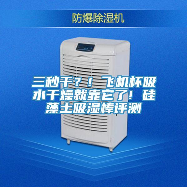 三秒干？! 飛機(jī)杯吸水干燥就靠它了! 硅藻土吸濕棒評(píng)測(cè)