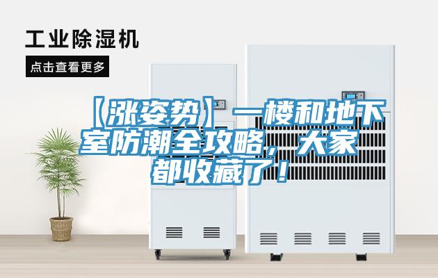 【漲姿勢】一樓和地下室防潮全攻略，大家都收藏了！