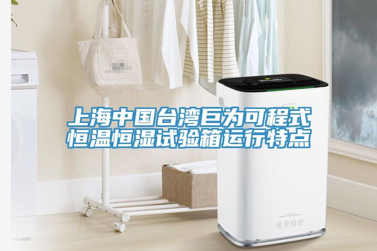上海中國臺灣巨為可程式恒溫恒濕試驗箱運(yùn)行特點(diǎn)