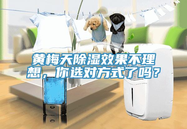 黃梅天除濕效果不理想，你選對(duì)方式了嗎？