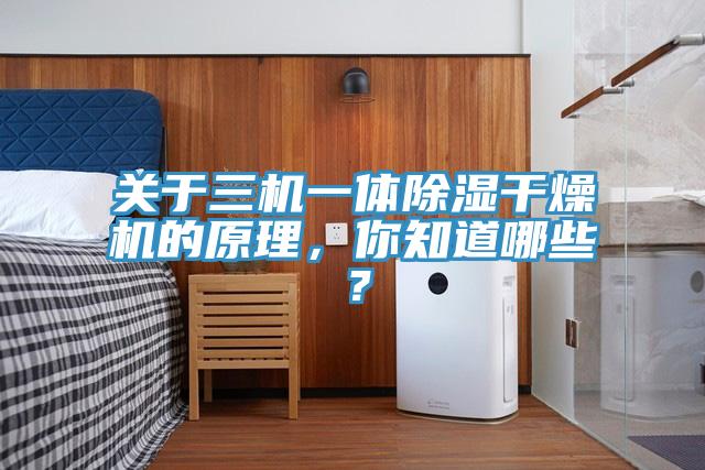 關(guān)于三機(jī)一體除濕干燥機(jī)的原理，你知道哪些？