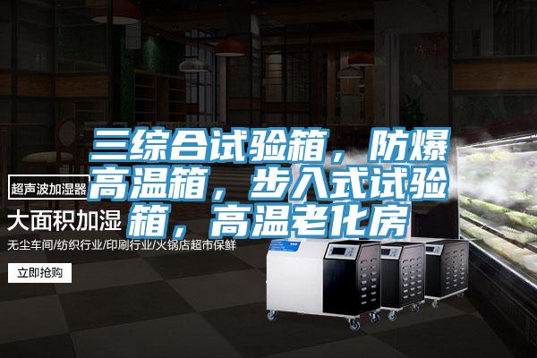 三綜合試驗(yàn)箱，防爆高溫箱，步入式試驗(yàn)箱，高溫老化房