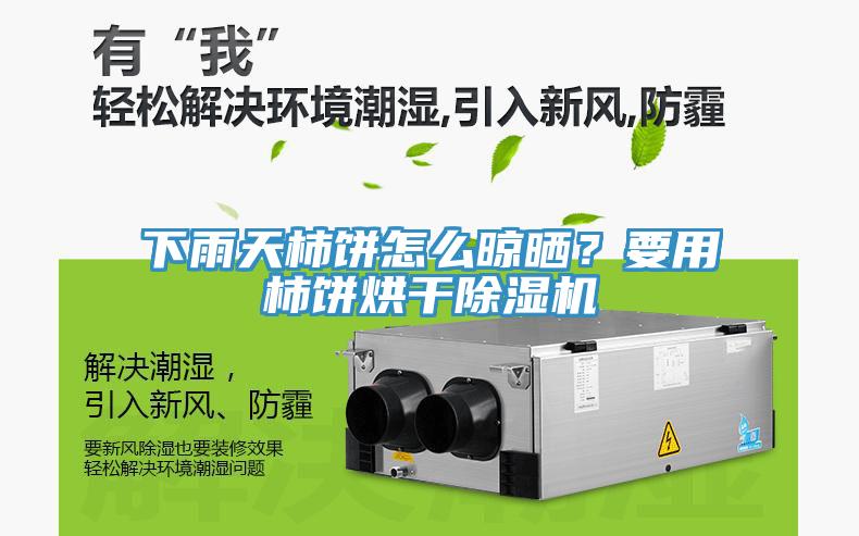 下雨天柿餅怎么晾曬？要用柿餅烘干除濕機(jī)