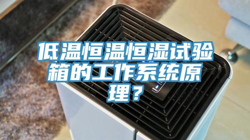 低溫恒溫恒濕試驗(yàn)箱的工作系統(tǒng)原理？