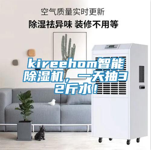 kireehom智能除濕機(jī)，一天抽32斤水！