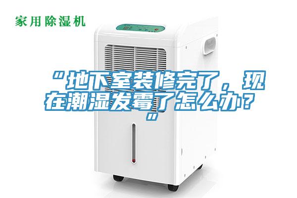 “地下室裝修完了，現(xiàn)在潮濕發(fā)霉了怎么辦？”