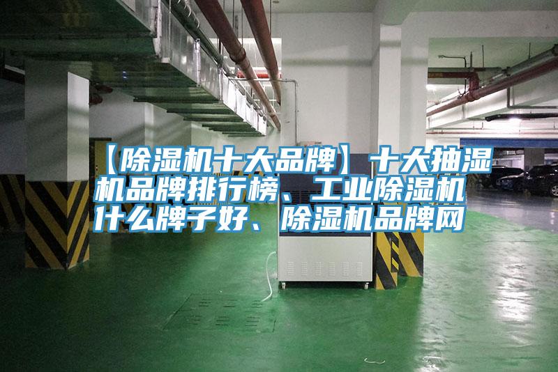 【除濕機十大品牌】十大抽濕機品牌排行榜、工業(yè)除濕機什么牌子好、除濕機品牌網(wǎng)