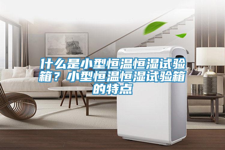 什么是小型恒溫恒濕試驗(yàn)箱？小型恒溫恒濕試驗(yàn)箱的特點(diǎn)