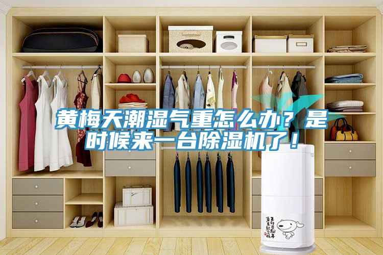 黃梅天潮濕氣重怎么辦？是時(shí)候來一臺(tái)除濕機(jī)了！