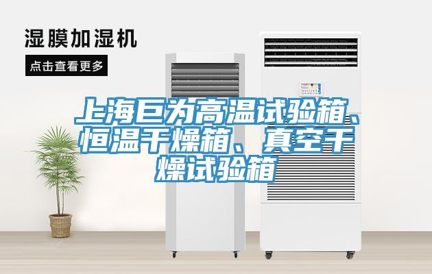 上海巨為高溫試驗(yàn)箱、恒溫干燥箱、真空干燥試驗(yàn)箱