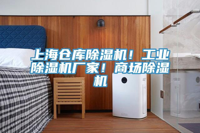 上海倉庫除濕機(jī)！工業(yè)除濕機(jī)廠家！商場除濕機(jī)